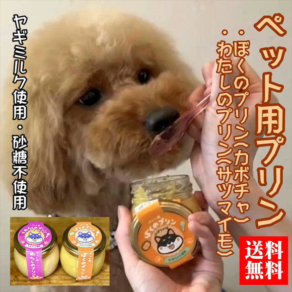 【送料込】 ペット用プリン６個セット（カボチャ・サツマイモ）