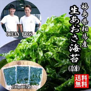 【送料無料】福島県相馬松川浦産 生あおさ海苔(冷凍)100g×３袋（中澤水産）