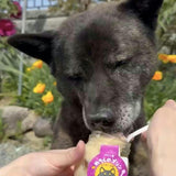 【犬用 おやつ】常温プリン 6個セット（サツマイモ）砂糖不使用／ヤギミルク／送料込