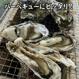【送料無料】 訳あり 三陸産 牡蠣貝 (加熱用) 1kg