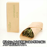 福島県会津産 夏アスパラ  Lサイズ 600g 【送料無料】
