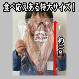 【送料無料】特大キンキ開き 2枚入り（カネキュウ鈴木商店）