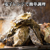 【送料無料】 訳あり 三陸産 牡蠣貝 (加熱用) 1kg