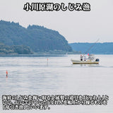 【送料無料】青森県 小川原湖産 特大しじみ（常温タイプ）