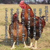 【送料無料】福島県川俣シャモの 軍鶏鳥中華 ２食☓４パック