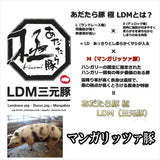 【送料無料】あだたら豚極セット（オクヤマフード）