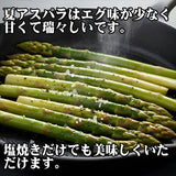 福島県会津産 夏アスパラ  Lサイズ 600g 【送料無料】