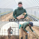 福島県会津産 夏アスパラ  Lサイズ 600g 【送料無料】