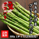 福島県会津産 夏アスパラ  Lサイズ 600g 【送料無料】
