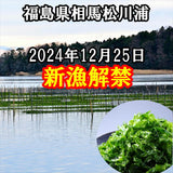 【送料無料】福島県相馬松川浦産 生あおさ海苔(冷凍)100g×３袋（中澤水産）