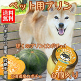 【犬用 おやつ】常温プリン 6個セット（カボチャ）砂糖不使用／ヤギミルク／送料込