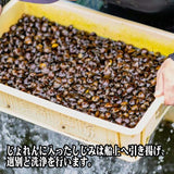 【送料無料】青森県 小川原湖産 特大しじみ（常温タイプ）