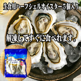 【送料無料】三陸牡蠣セット（三養水産）