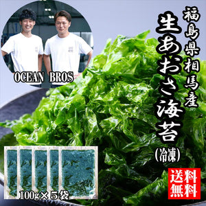 【送料無料】福島県相馬松川浦産 生あおさ海苔(冷凍)100g×５袋（中澤水産）