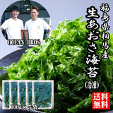 【送料無料】福島県相馬松川浦産 生あおさ海苔(冷凍)100g×５袋（中澤水産）