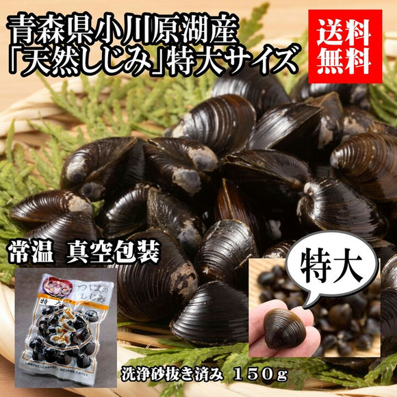 【送料無料】青森県 小川原湖産 特大しじみ（常温タイプ）