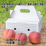 【6/30まで事前予約受付中】【送料無料】ふくしまの桃 贈答用（1.5kg入り）（大野農園）