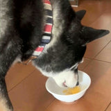 【送料込】 ペット用プリン６個セット（カボチャ・サツマイモ）