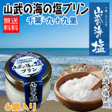 【送料込】 山武の海の塩プリン６個入り（ブルーシュエット）