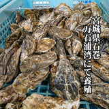 【送料無料】三陸産　蒸し牡蠣（三養水産）