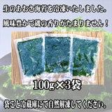 【送料無料】福島県相馬松川浦産 生あおさ海苔(冷凍)100g×３袋（中澤水産）