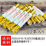 【送料無料】会津 東山ようかん　10本セット（ブルーシュエット）